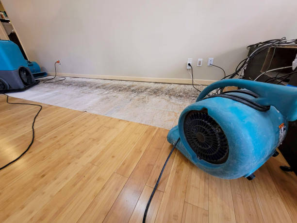 Professional Burst Pipe Water Damage technician working in Industry, PA